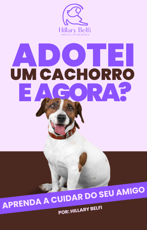 Imagem de capa para o Ebook Adotei um cachorro, e agora? 