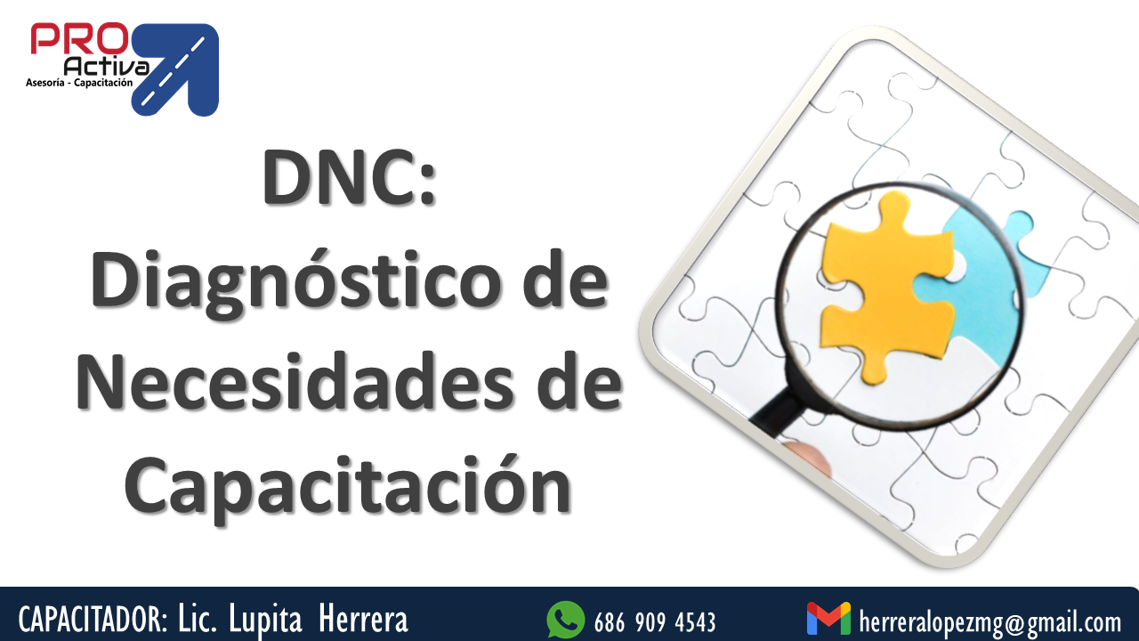 DNC (Diagnóstico de Necesidades de Capacitación) - Lic. Lupita Herr...