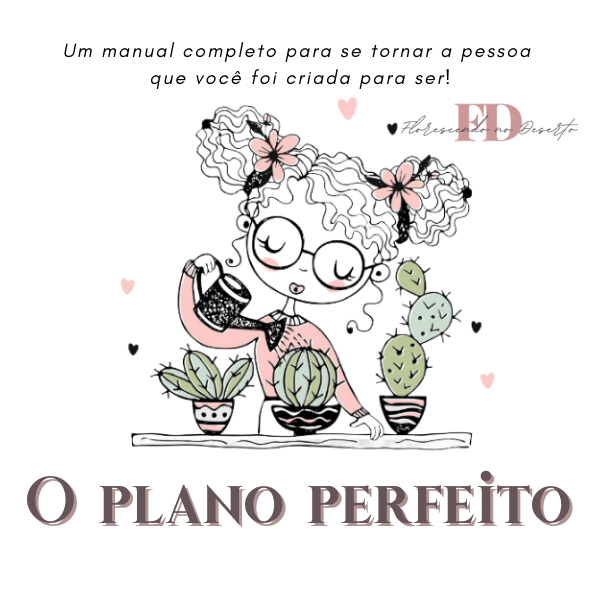 O Plano Perfeito