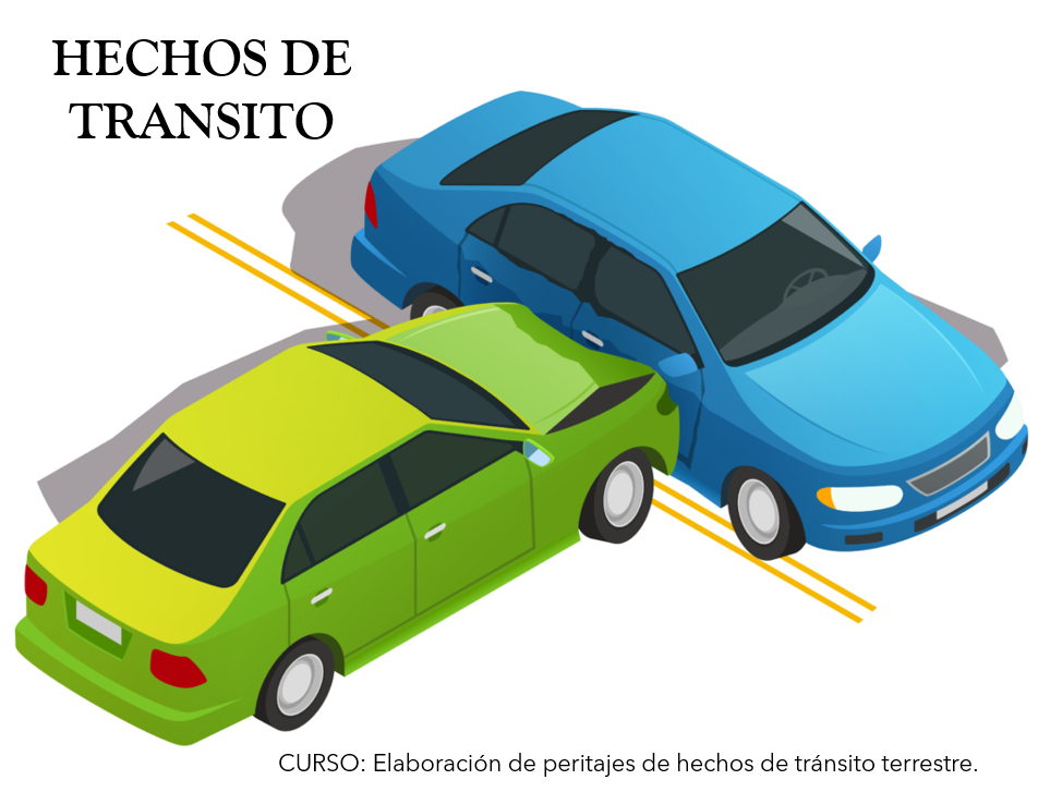 Elaboración de peritajes de hechos de tránsito terrestre. - Anel Ce...