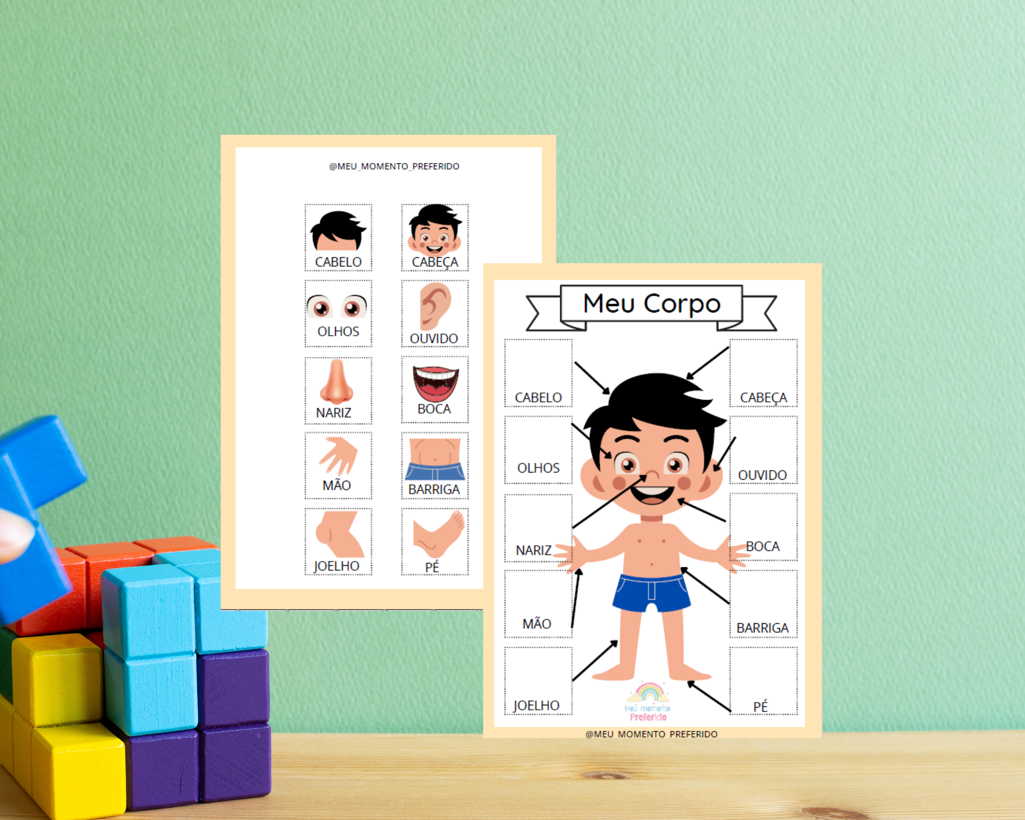 Imprima e aprenda: Partes do Corpo Humano - Meu momento preferido |..., image size:2000x1600