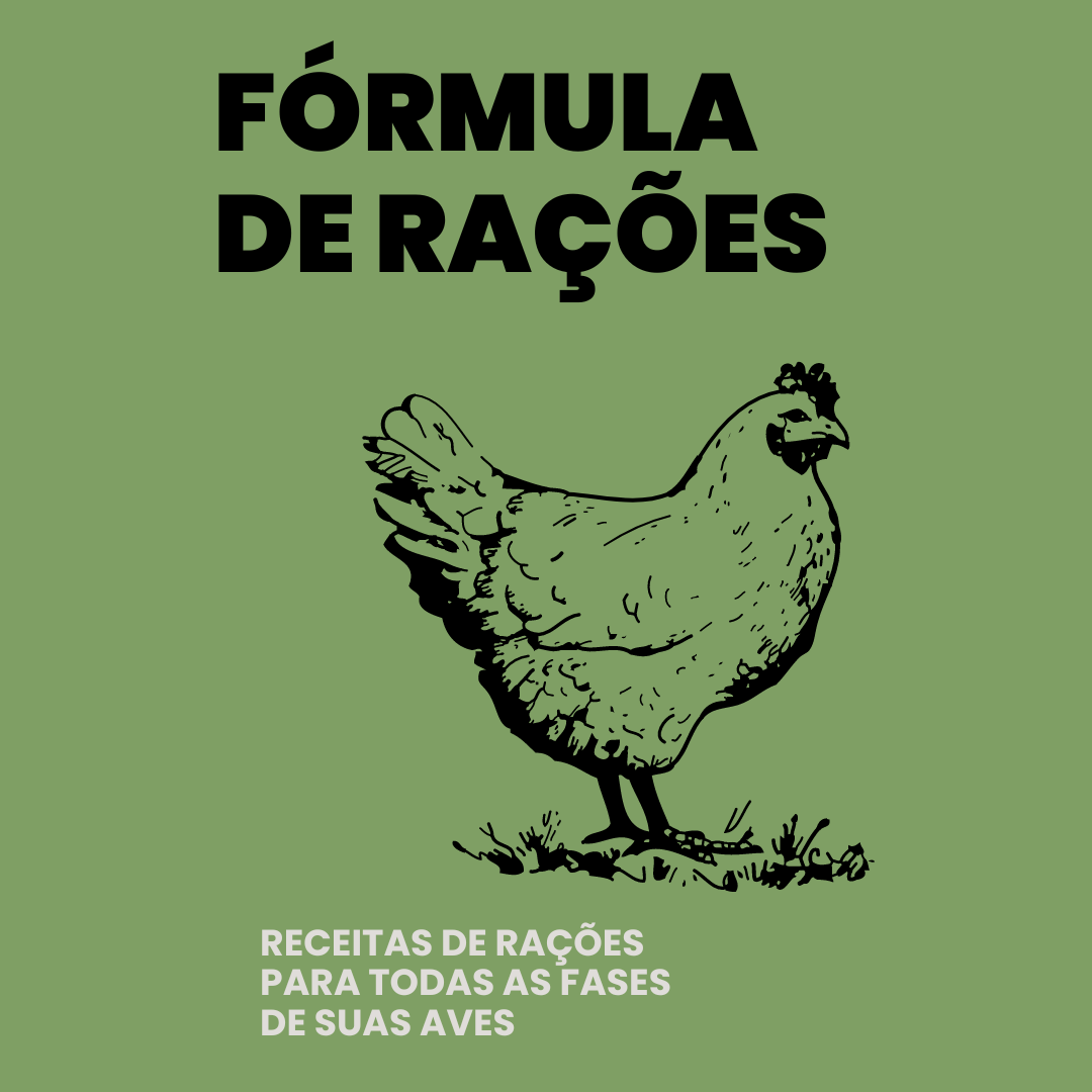 Guia Ra es De Galinhas BR guia-ra-es-de-galinhas-br