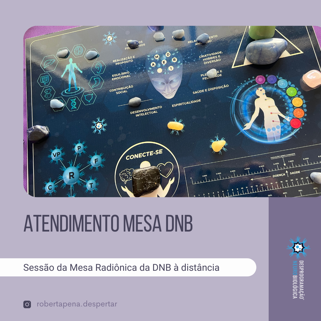 ATENDIMENTO COM A MESA DNB