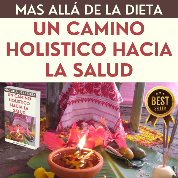 EBOOK - MAS ALLA DE LA DIETA – UN CAMINO HOLISTICO HACIA LA SALUD