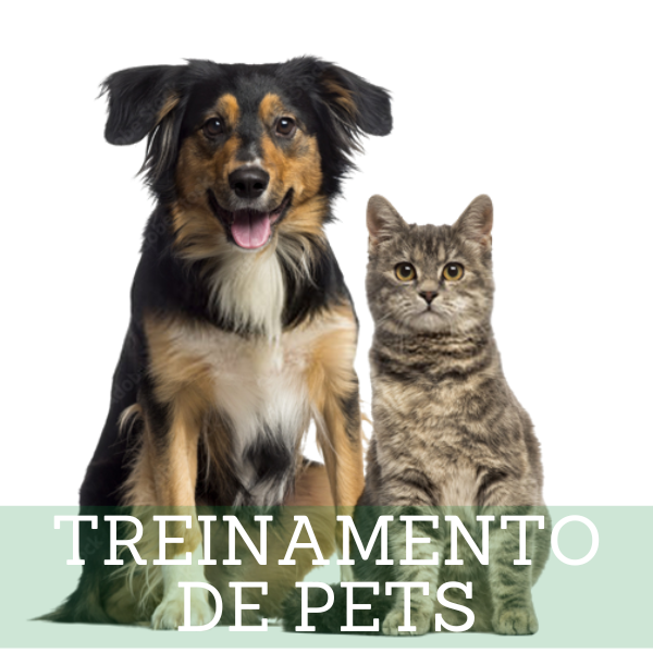 Treinamento de Pets