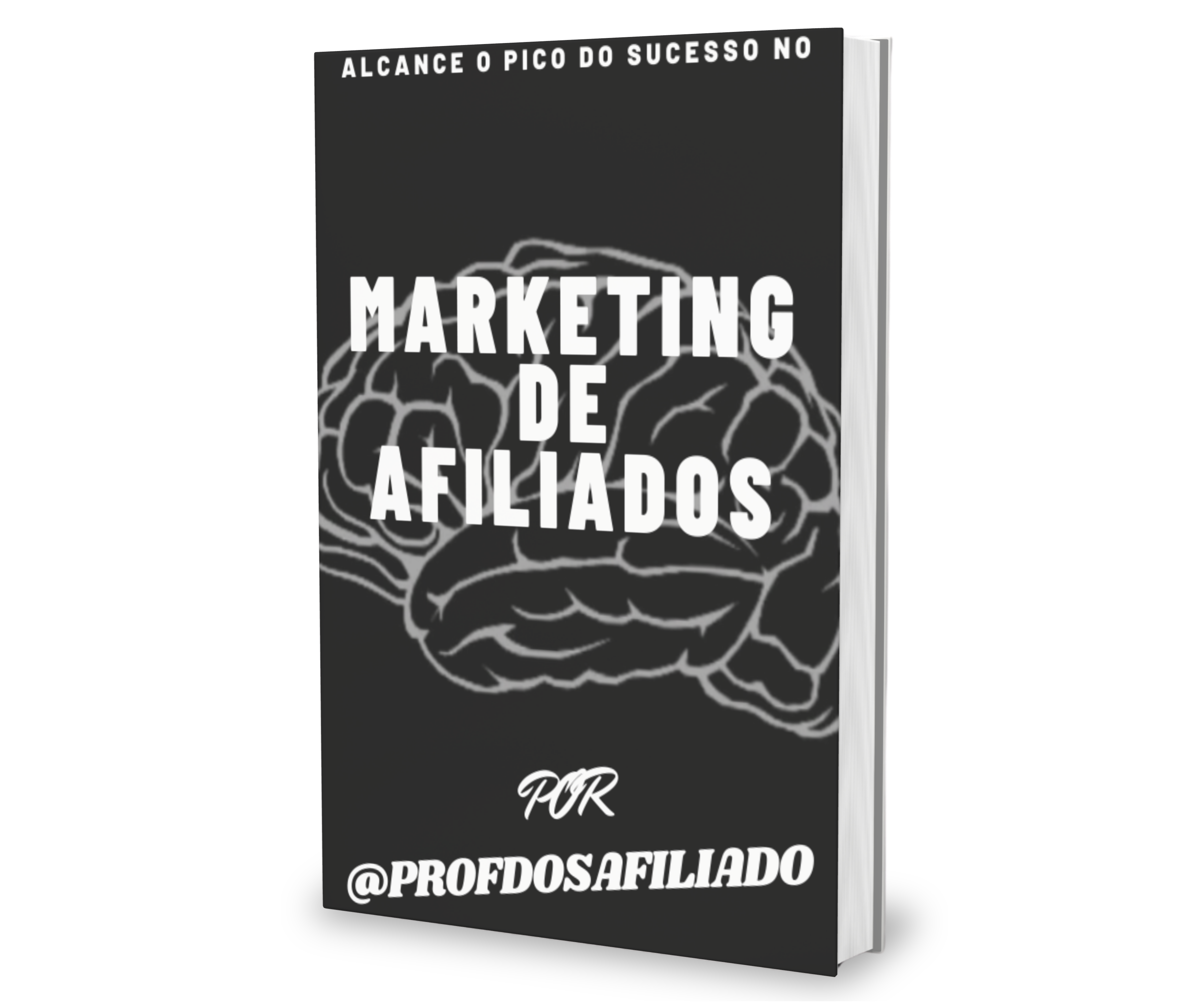 Alcance o pico do sucesso no marketing de afiliados
