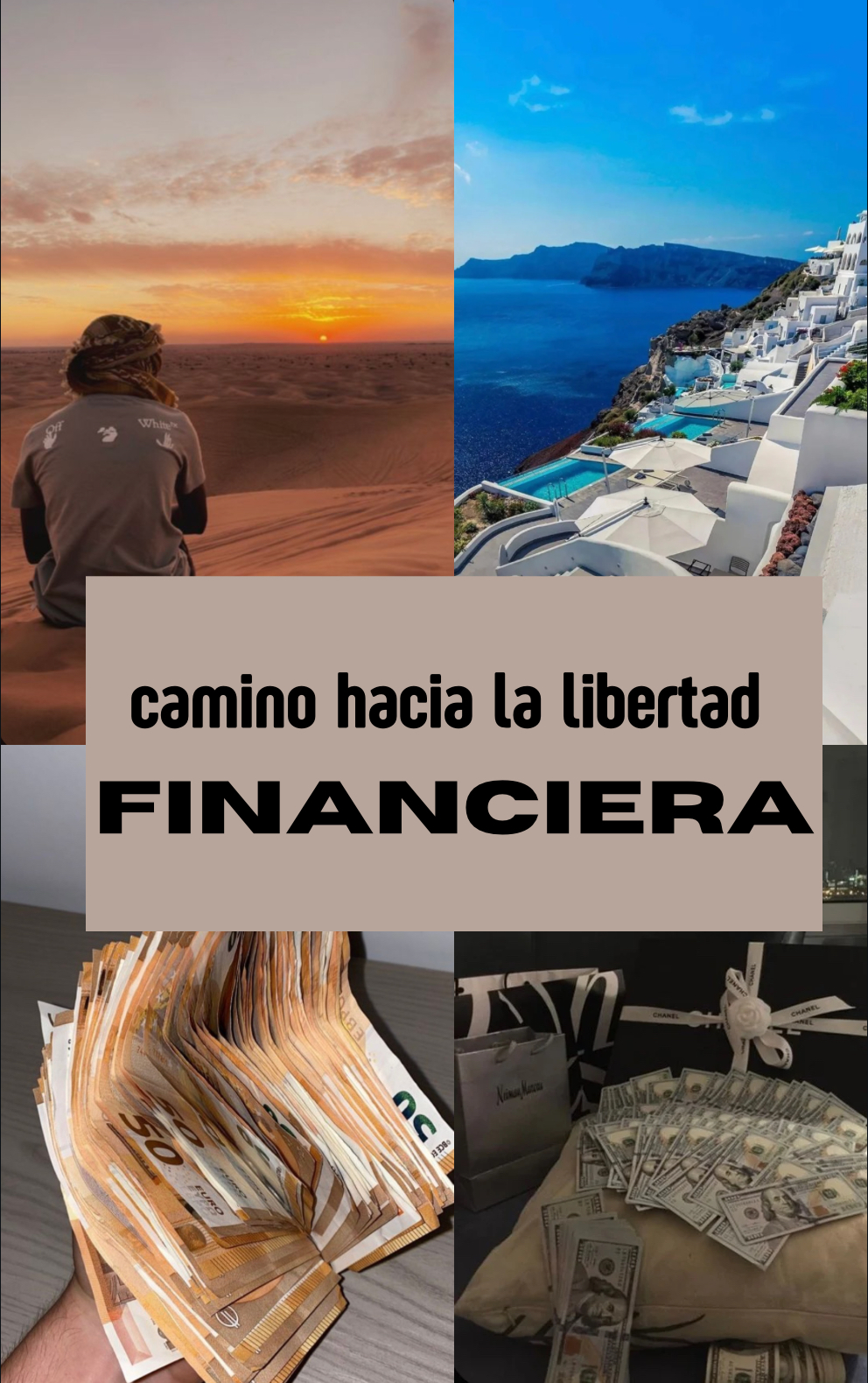 Camino hacia la libertad financiera - Paul Pasic Soler | Hotmart