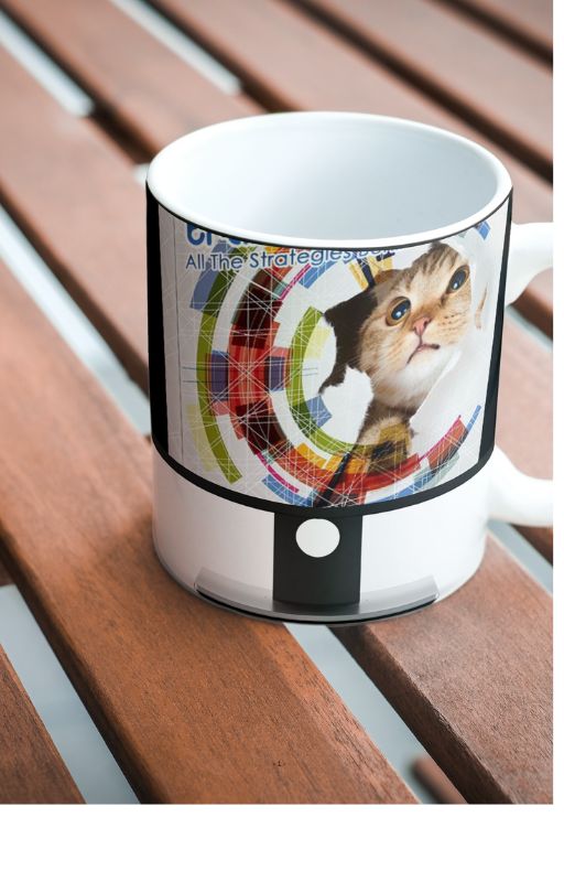 Técnicas de Treinamento para Gatos