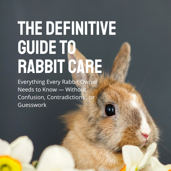 THE DEFINITIVE GUIDE TO RABBIT CARE