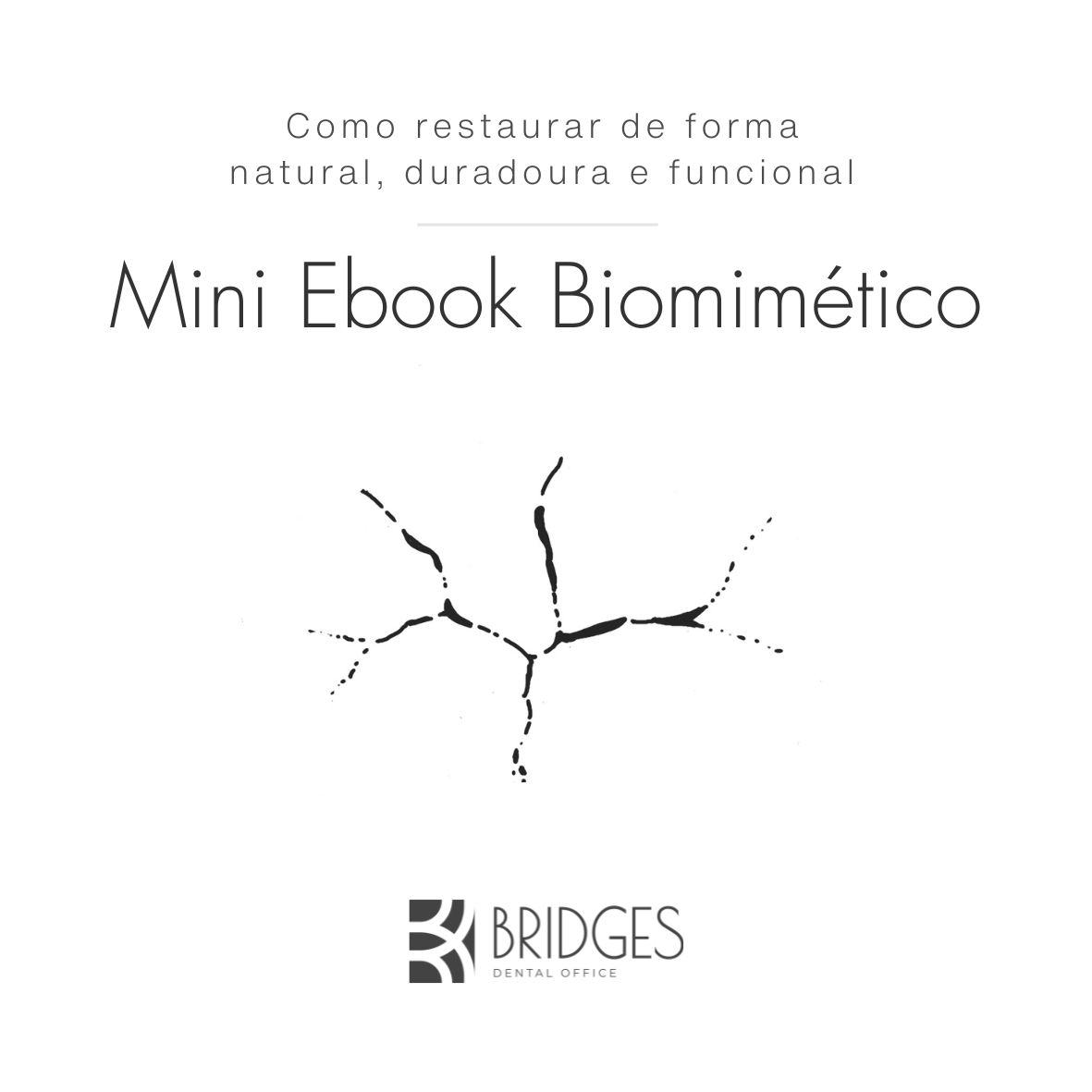 mini-ebook-biomim-tico