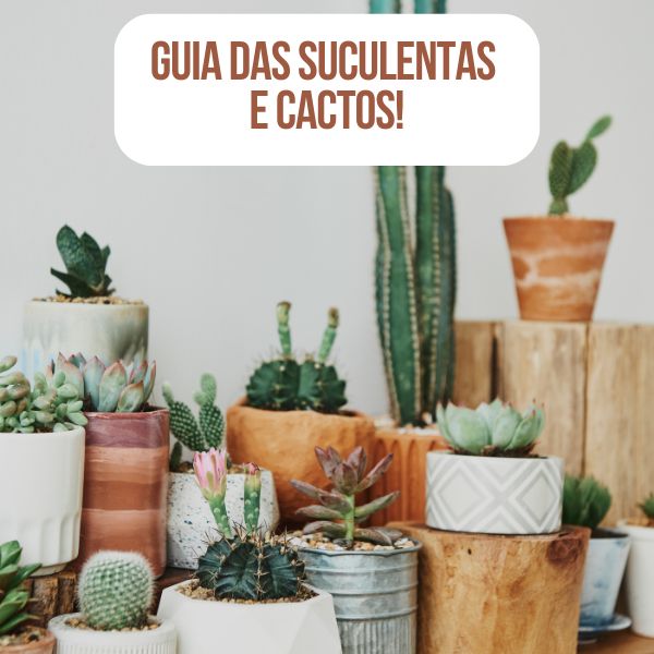 Guia das Suculentas e Cactos O Guia Definitivo para Coleção e Cultivo Perfeitos