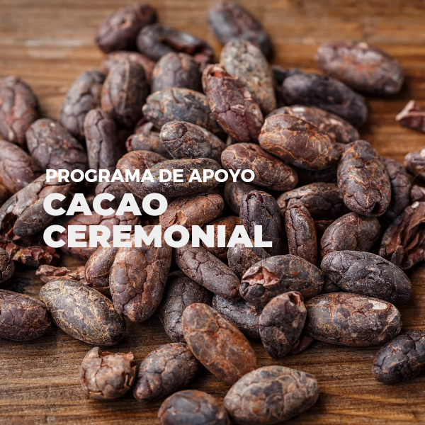 Iniciación al Cacao Ceremonial de María Magdalena