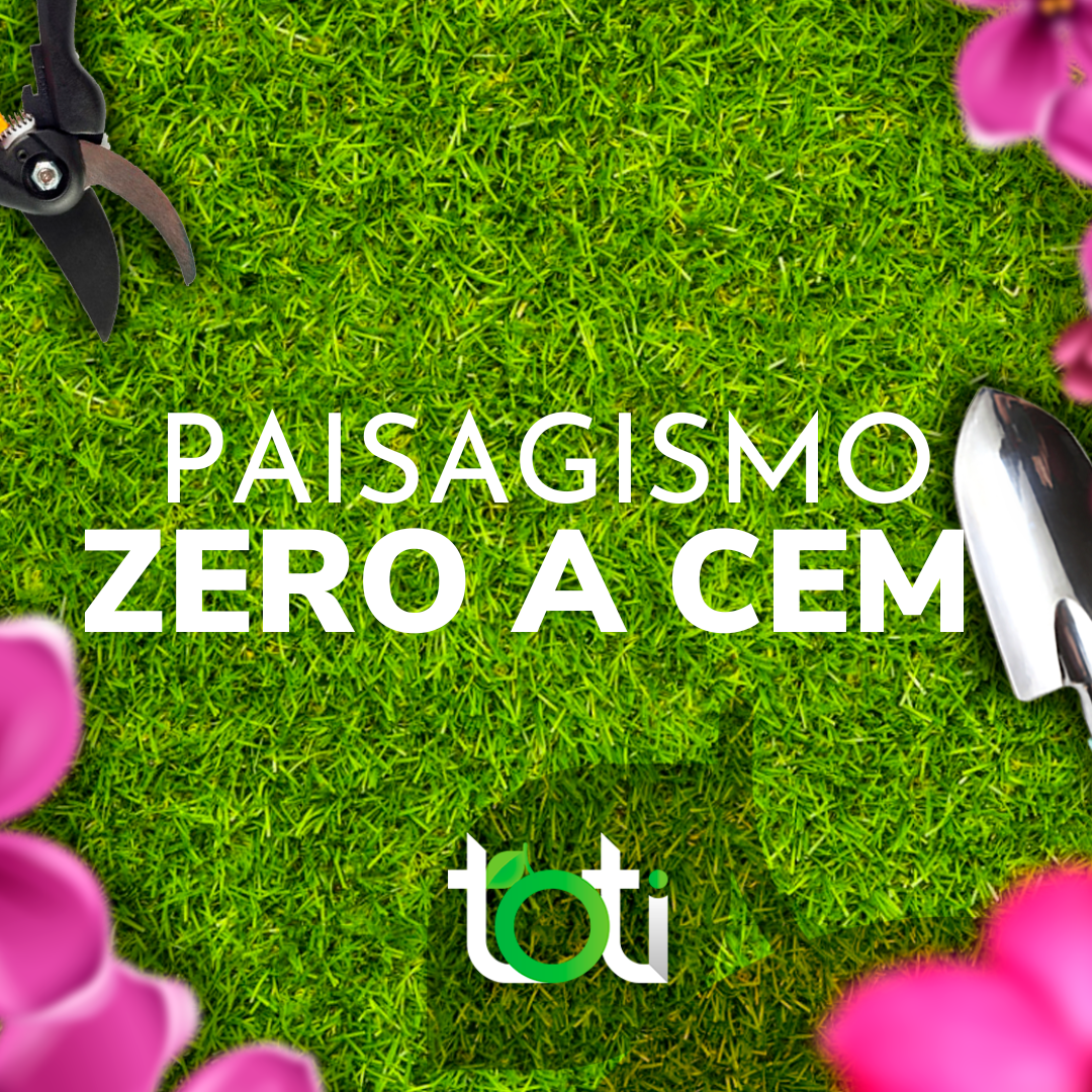 Paisagismo de Zero a Cem: Domine o Paisagismo Básico com Nosso Curso Completo