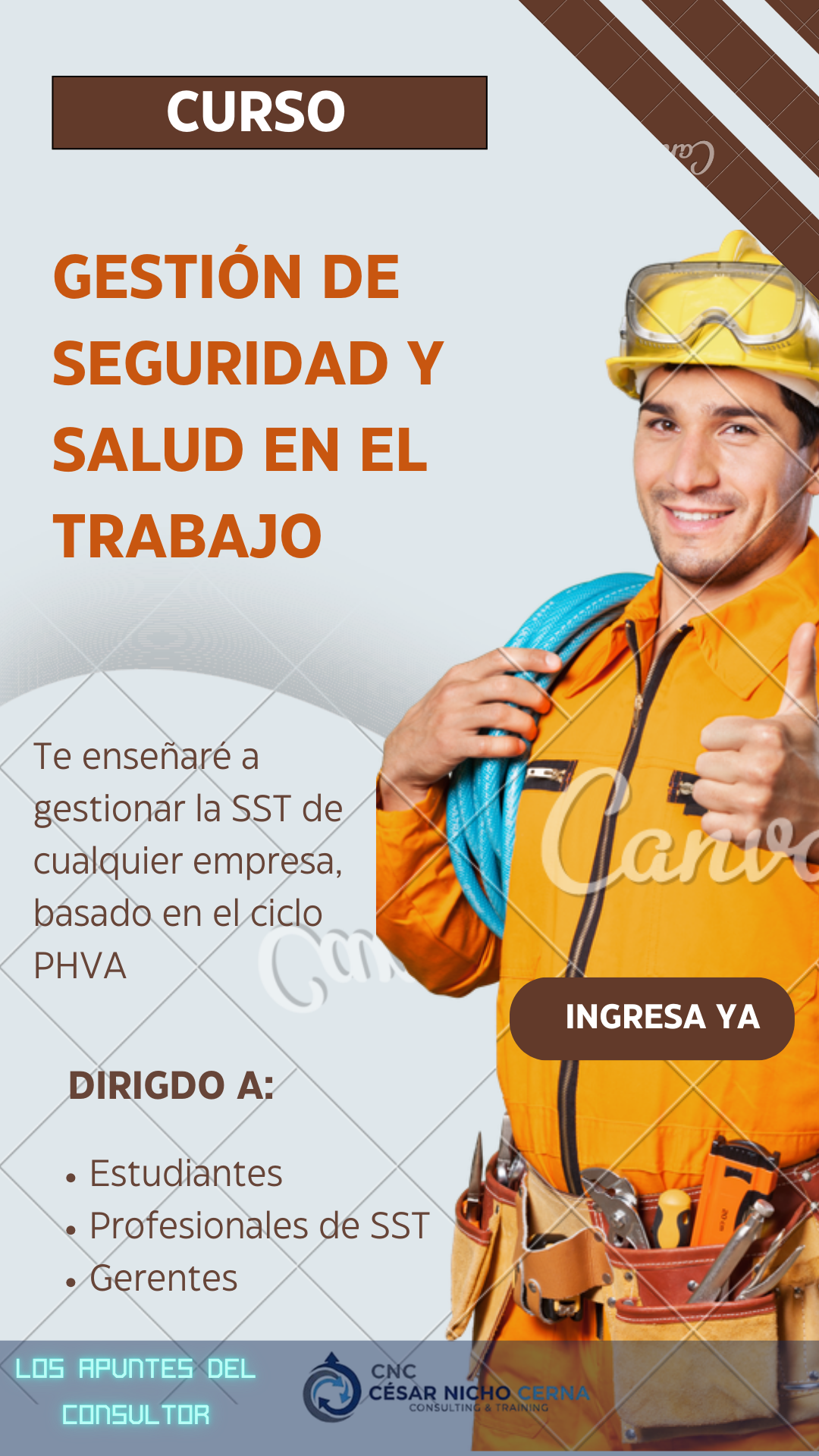 Gestión de la Seguridad y Salud en el Trabajo - César Nicho Cerna ...