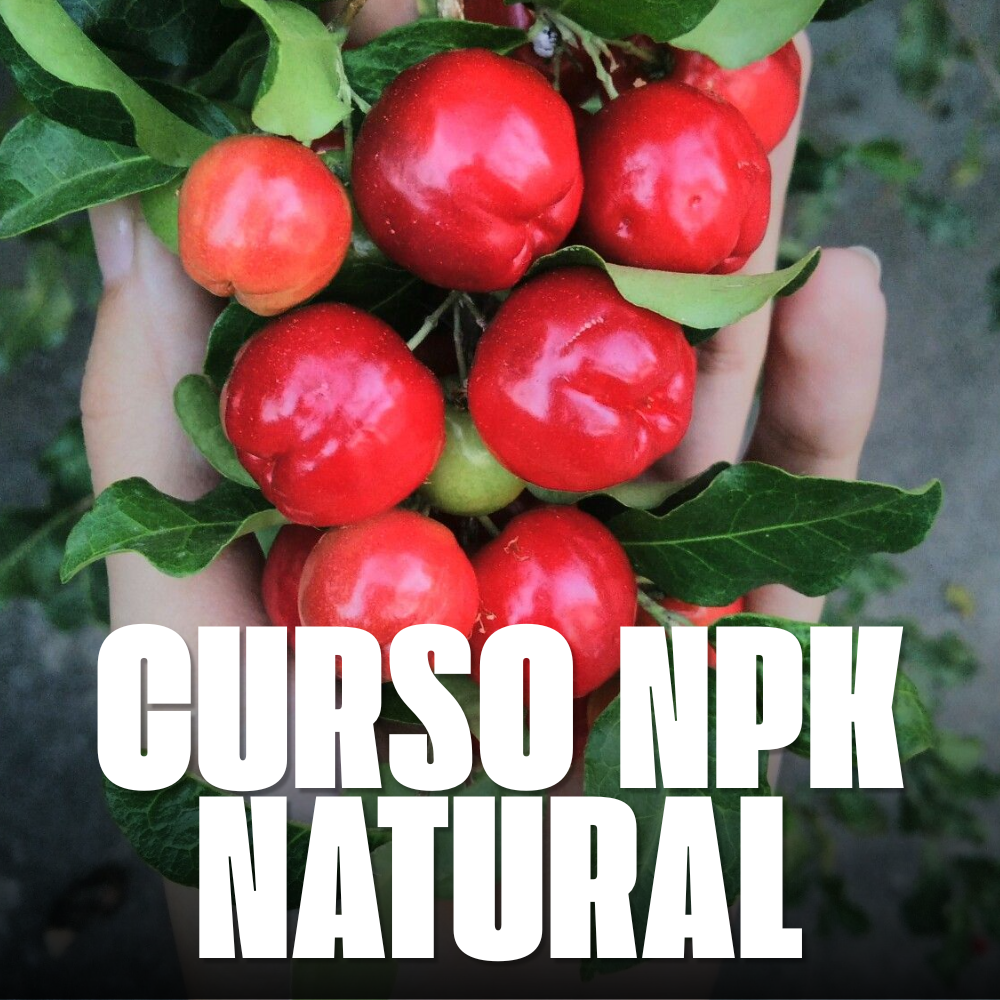 NPK NATURAL - CURSO COMPLETO PARA FRUTIFICAR!