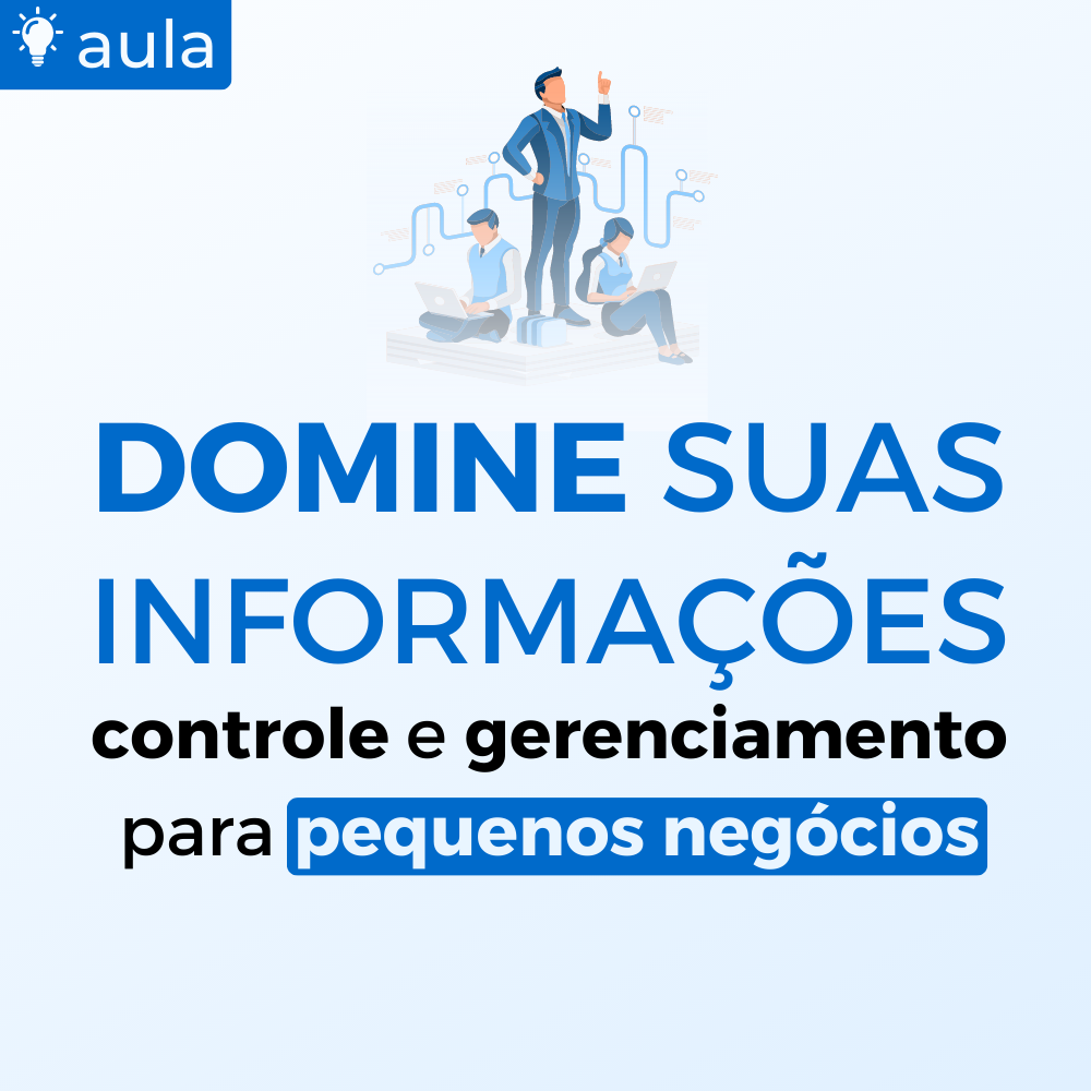 DOMINE SUAS INFORMAÇÕES controle e gerenciamento para pequenos negó...
