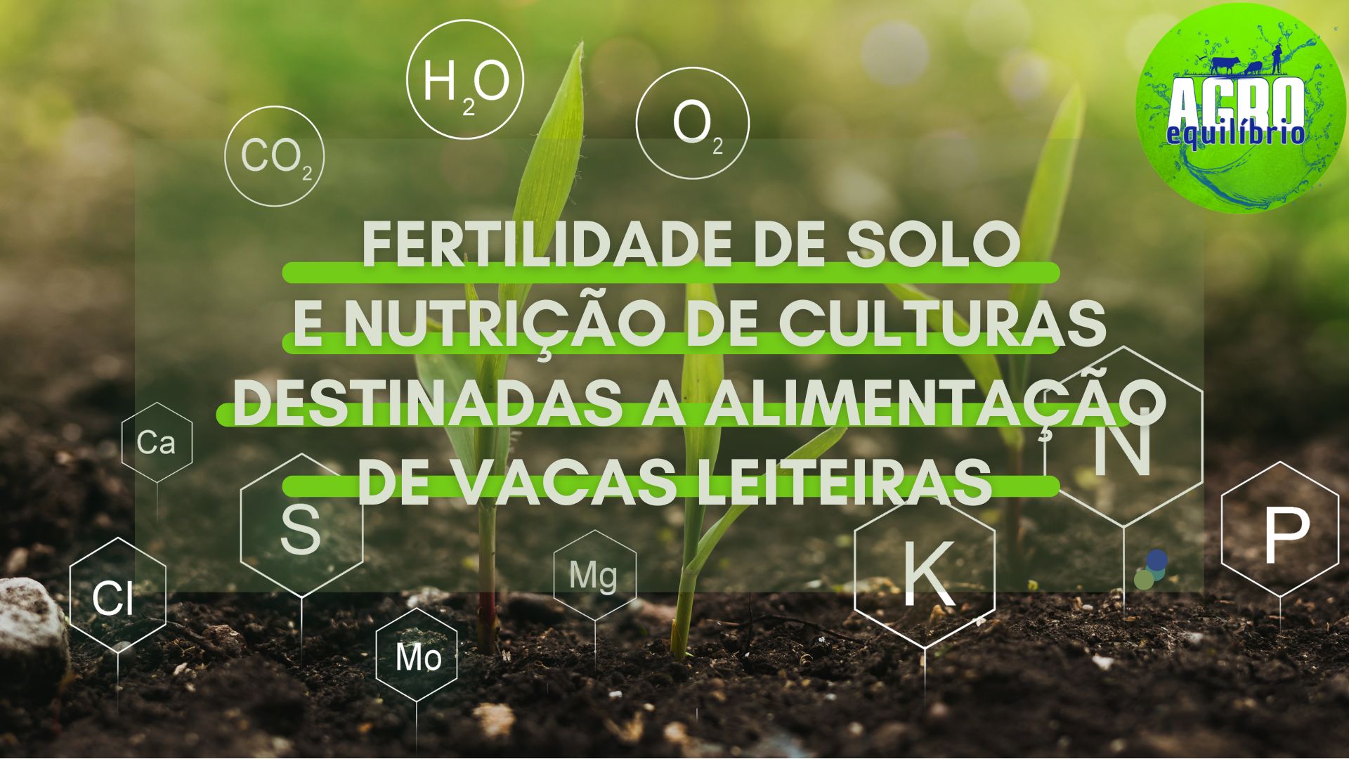 Curso de Fertilidade do Solo e Adubação de Culturas Destinadas a ...