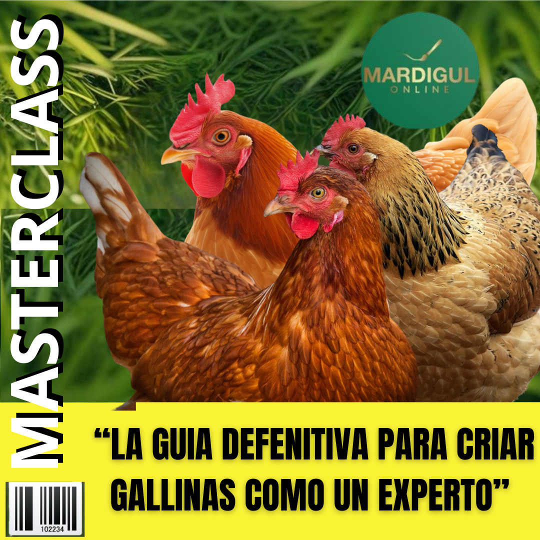 " LA GUIA DEFINITIVA PARA CRIAR GALLINAS COMO UN EXPERTO" - Octav...