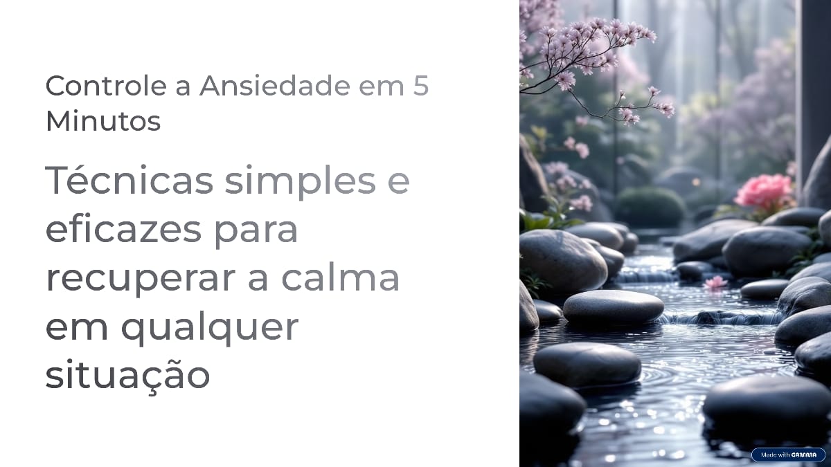 Controle a Ansiedade em 5 Minutos - Felipe dos anjos de Souza | Hot...