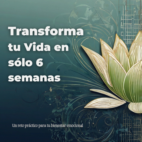 Transforma tu Vida en sólo 6 semanas - Lindsay Aravena | Hotmart