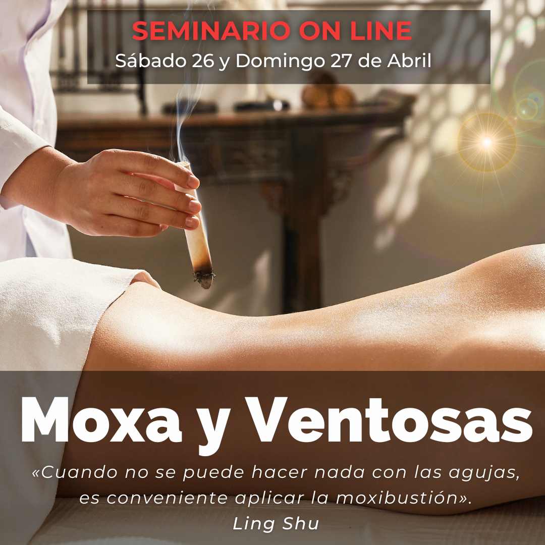 Imagen de portada para Curso online Seminario Moxa y Ventosas