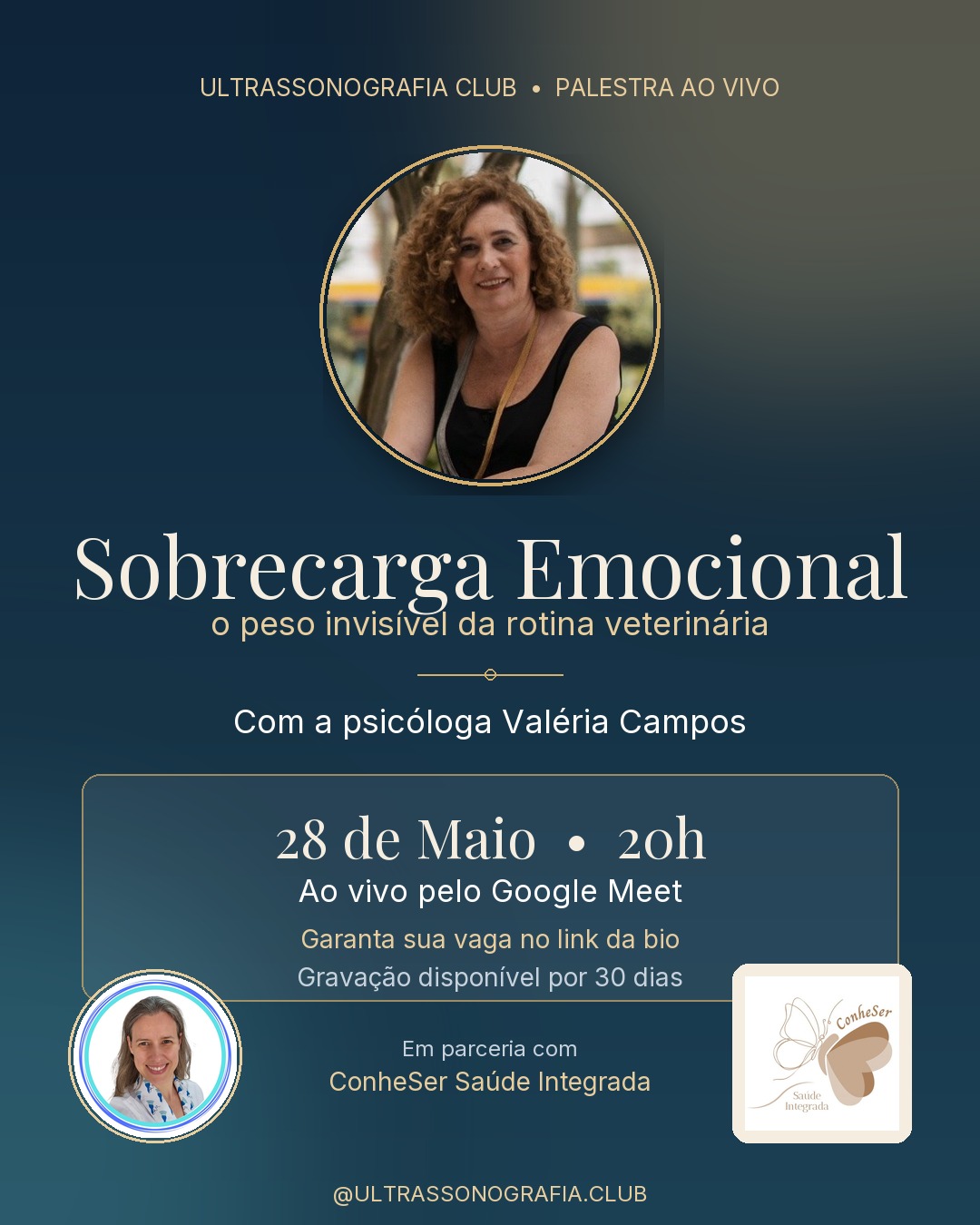 Sobrecarga Emocional: o peso invisível da rotina veterinária - Adri...