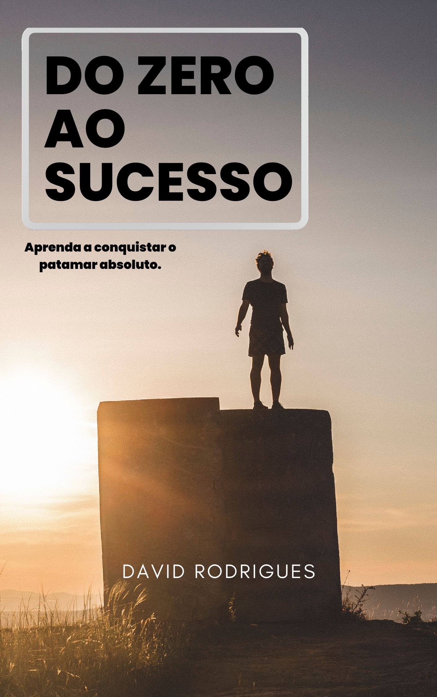 DO ZERO AO SUCESSO