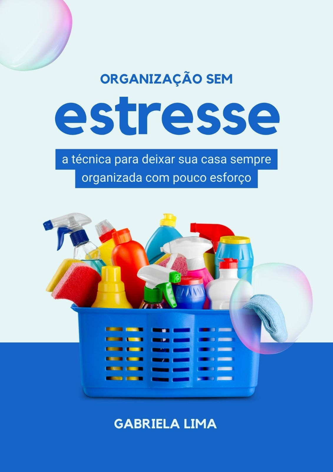 Organiza o Sem Estresse Organiza o Sem Estresse