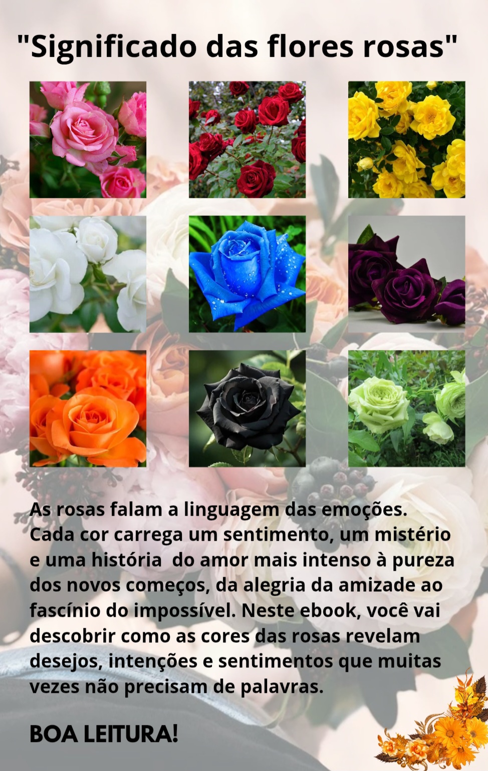 Significado das flores rosas | Hotmart