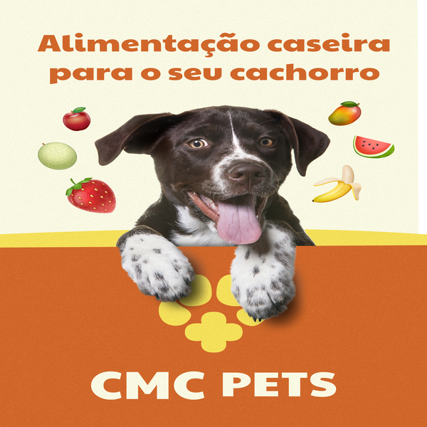 Imagem de capa para o Ebook Guia de alimentação caseira para seu cachorro com varias receitas!