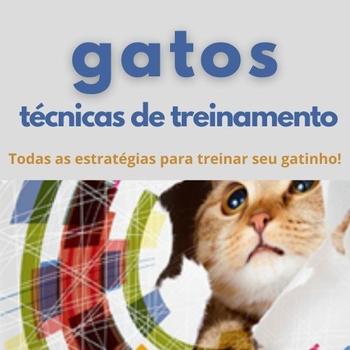 Tecnicas de Treinamento Para Gatos