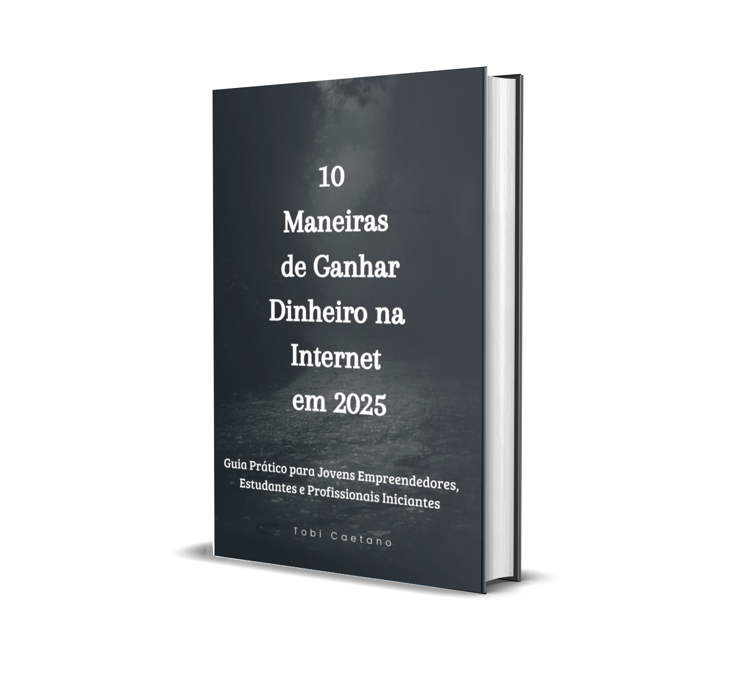 10 Maneiras de Ganhar Dinheiro na Internet – Guia Prático para o ...