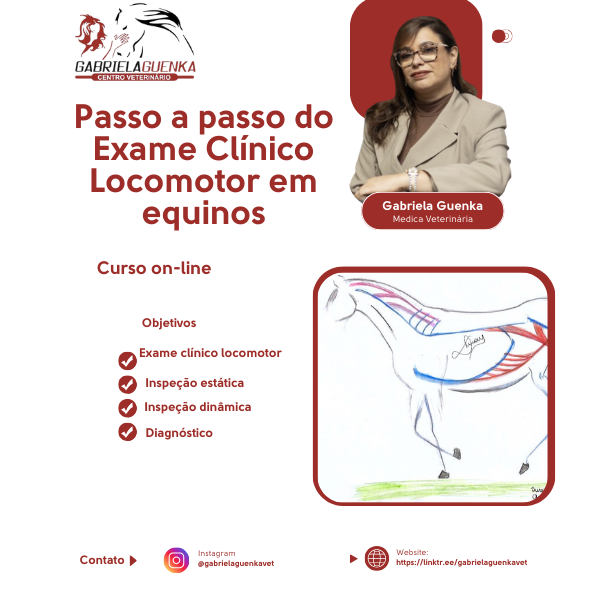 Passo a passo  do Exame Clínico Locomotor em equinos (cavalos) - Master Class VET - Medica Veterinária Dra. Gabriela Guenka
