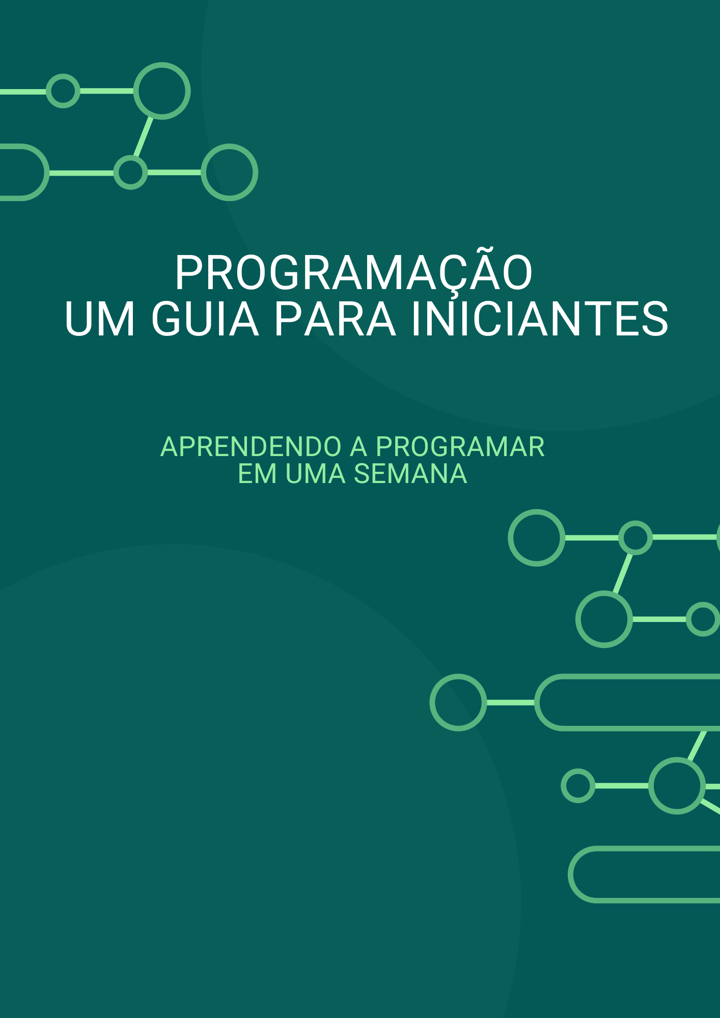 Programação Um Guia para Iniciantes