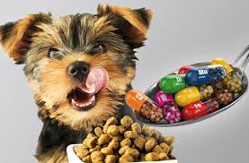 nutrición para mascotas para mascotas  - maximiliano roldan cataño