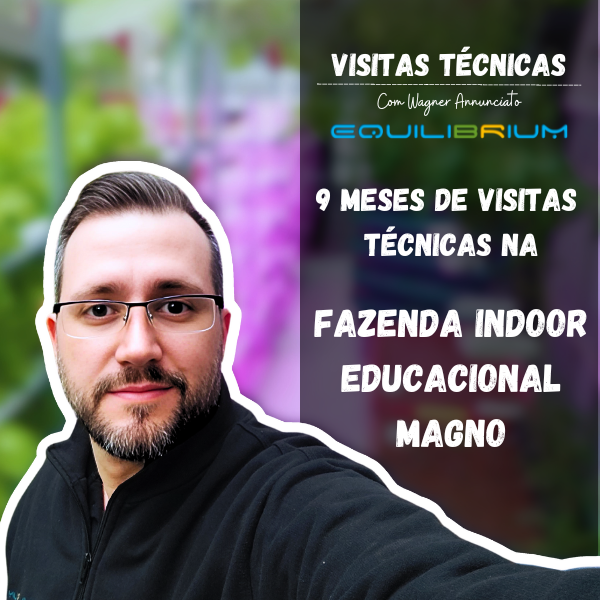 Visitas t cnicas na fazenda magno