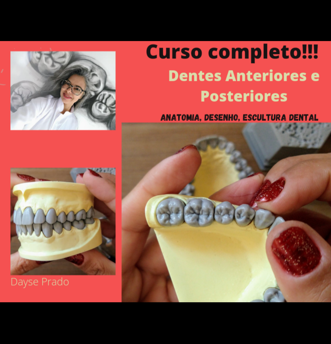 Imagem de capa para o Curso online Dentes Anteriores e Posteriores - Anatomia, Desenho, Escultura