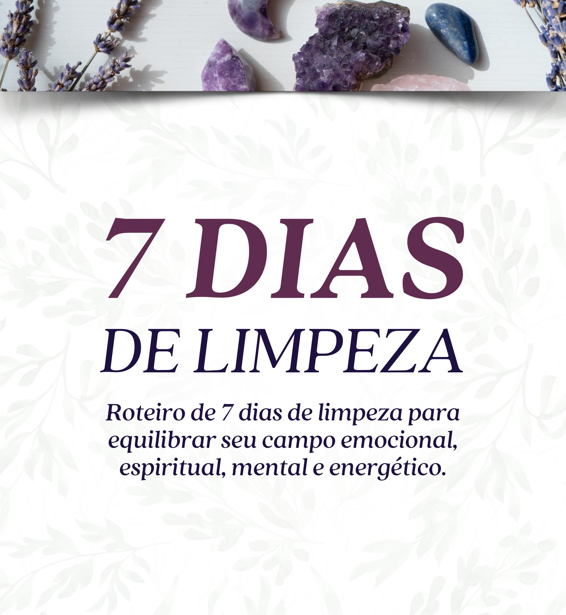 7 dias de limpeza - Bea Rocha | Hotmart
