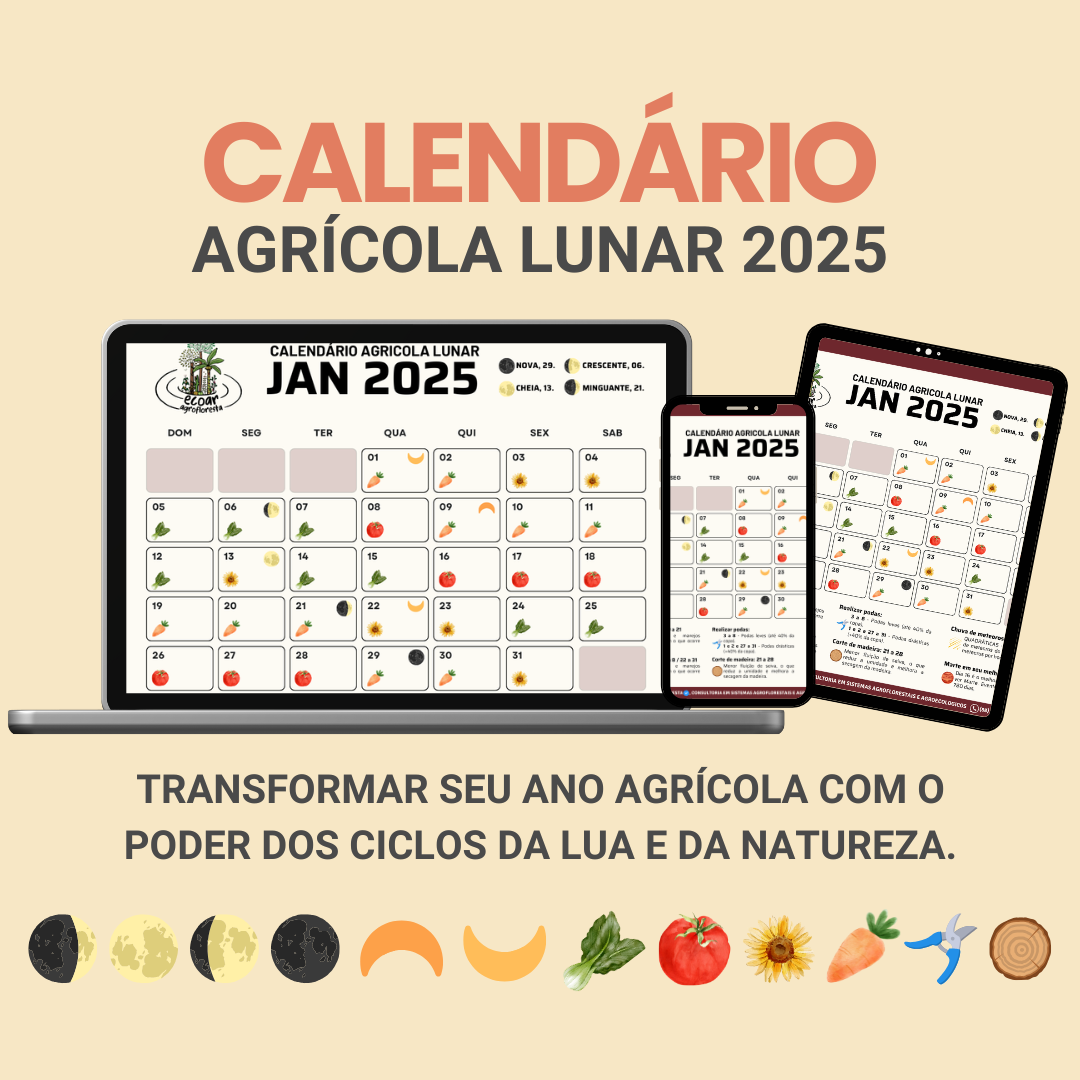 Calendário lunar agrícola 4