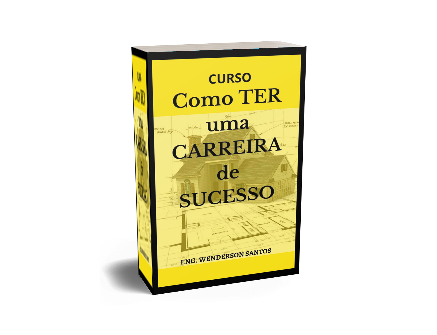 Curso Como Ter uma Carreira de Sucesso