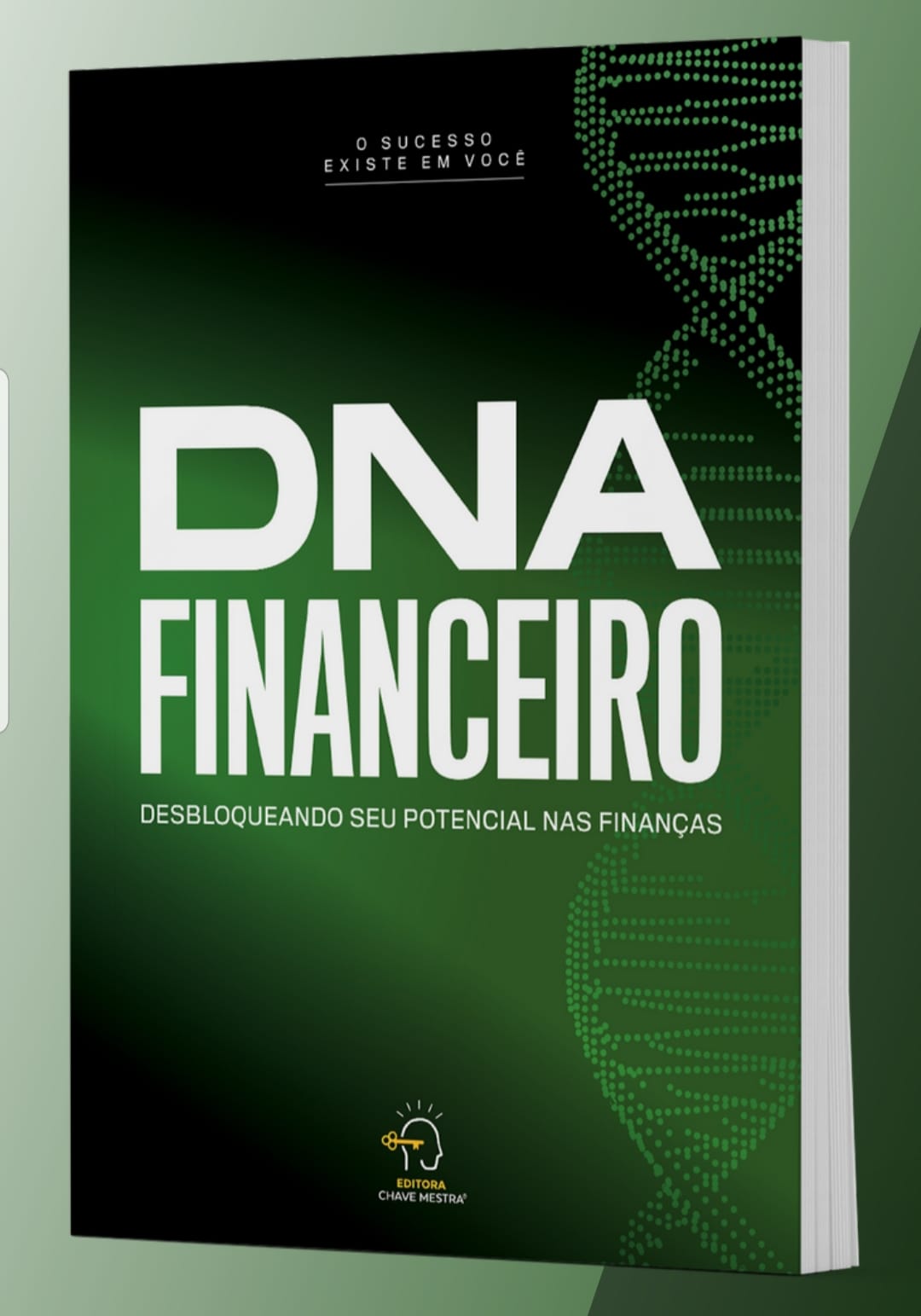 Livro DNA Financeiro — produto da categoria Livros