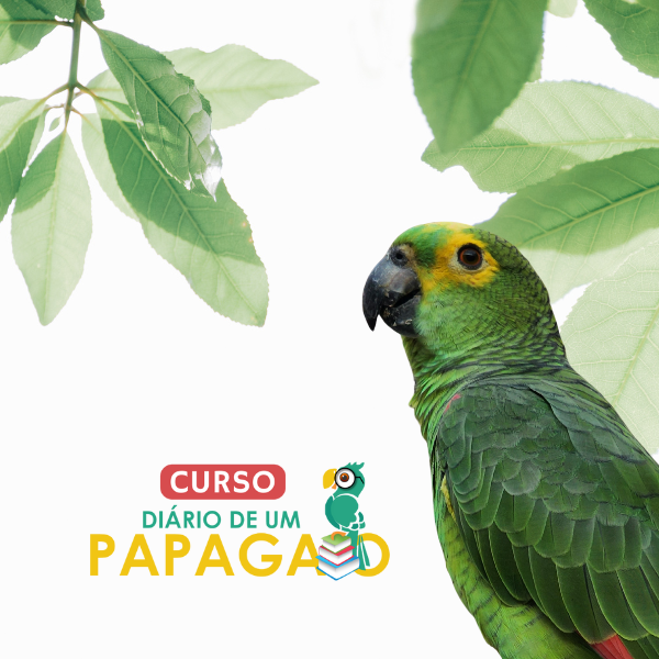 Curso do Diário de Um Papagaio