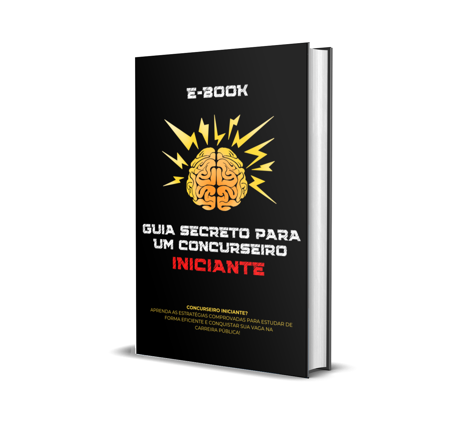 Guia Secreto para um Concurseiro Iniciante