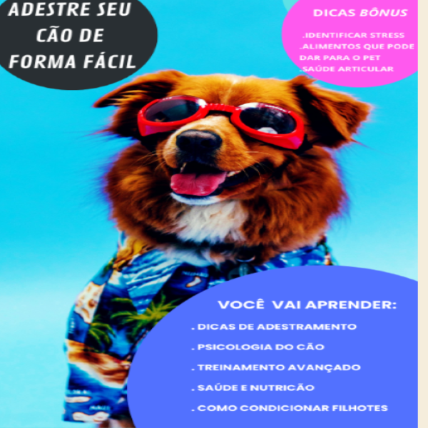 Curso de Adestramento: Como conhecer ainda mais seu cão