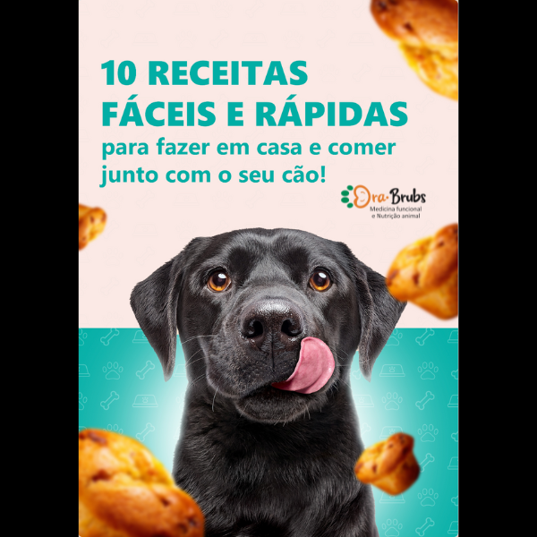10 Receitas fáceis e rápidas para fazer em casa e comer junto com...