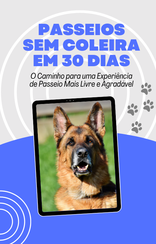 Passeios com seu cão sem Coleira em 30 Dias