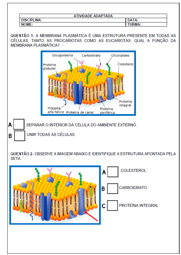 Atividade Adaptada-Membrana Plasmática - Cantinho da Inclusão | Ho...
