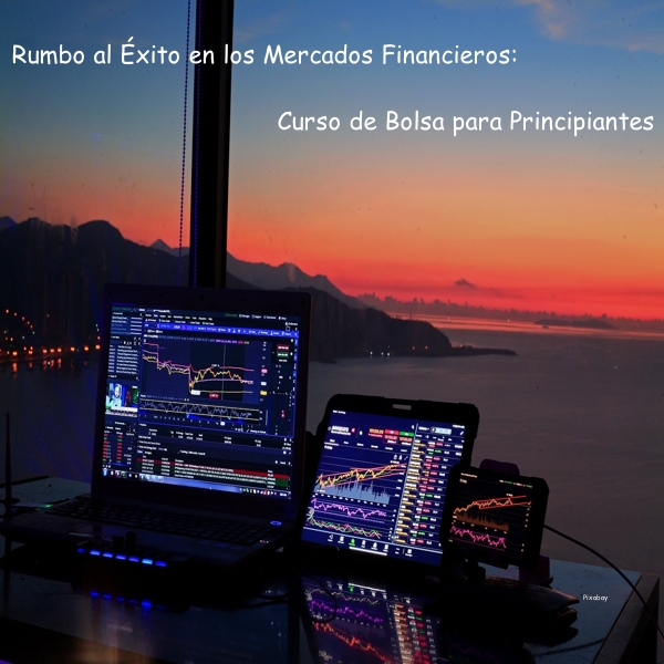Rumbo al Éxito en los Mercados Financieros: Curso de Bolsa para Pri...