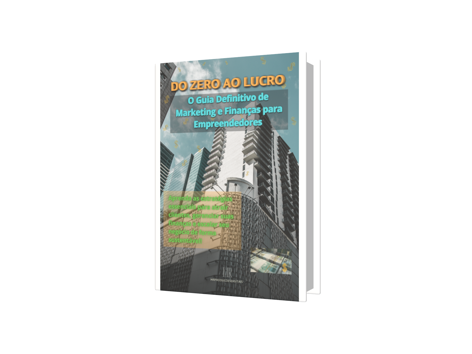 Do Zero ao Lucro: O Guia Definitivo de Marketing e Finanças para ...