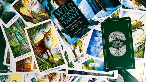 🌟 Descubre Tu Destino con Rita Tarot 🌟 - Mhoni Vidente | Hotmart